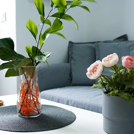 Cozy House Lejlighed *